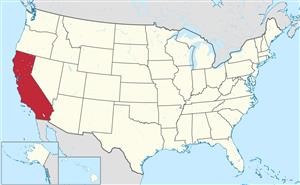 &quot;Drug Rehabs in Naples Florida
